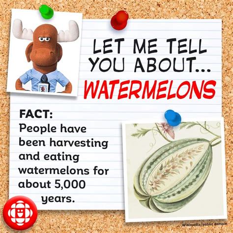 Reunion facts | facts about réunion | france facts | geography | food. 5 fun facts about watermelons | Explore | Awesome ...