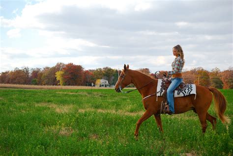 A Beautiful Fall Scene Photo From A Photo Shoot With My Wonderful Horse