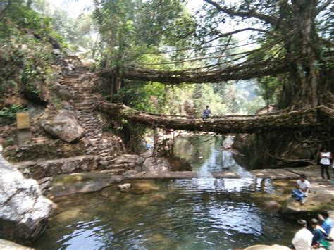 Double Decker Living Roots Bridge In Nongriat Village Of Meghalaya