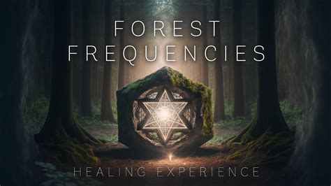 Forest Frequencies Healing Experience Relaxing Meditation Music And Nature Sounds Youtube