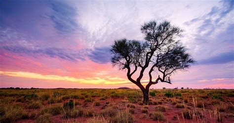 Western australia is easily accessible by land, sea and air. Sustaining connection to Country - News and Events ...