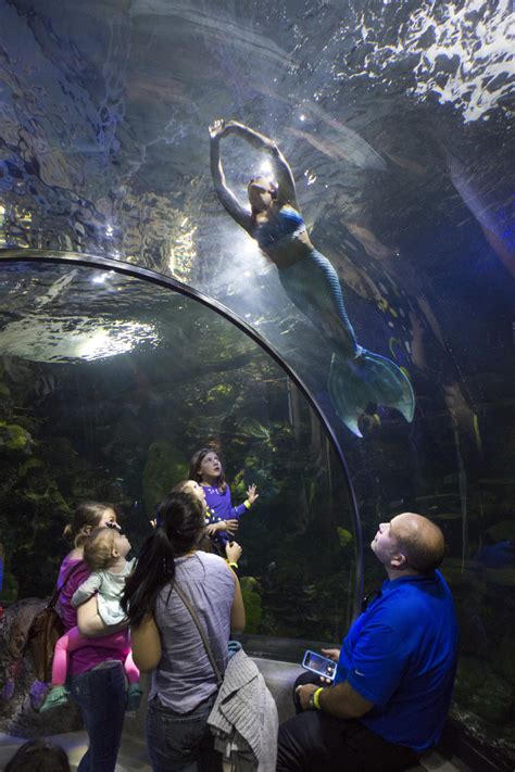 Virginia Aquarium And Marine Science Center