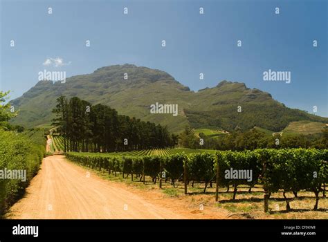 Winery Near Franschhoek Western Cape South Africa Stock Photo Alamy