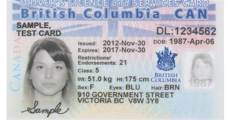 Canadian Driver License Format Treevn