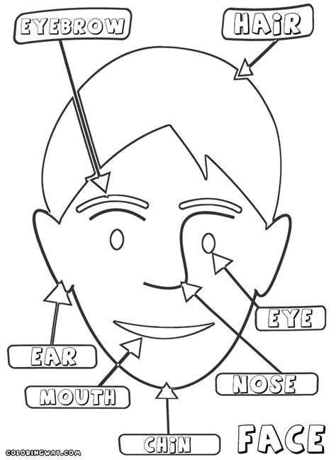 Coloring Pages Face Parts Coloring Pages Coloring Pages To Print