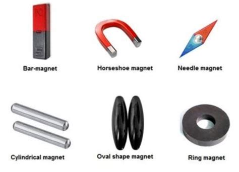 Revision Notes For Science Chapter 13 Fun With Magnets Class 6th