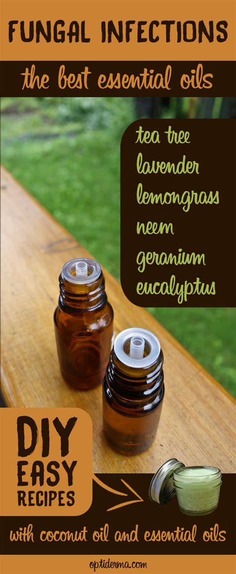 Best essential oils for hair. The Best Antifungal Essential Oils : Get Rid of Fungal ...
