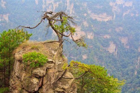 Mysterious Mountain Zhangjiajie Stock Image Image Of Column Park