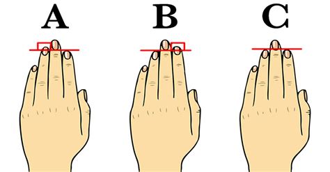 We Know What Your Finger Size Reveals About Your Personality MQ