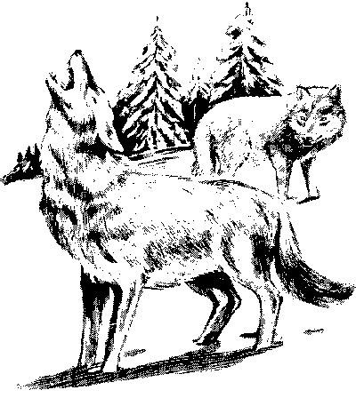 Then, if you want to flesh out the rest of the composition, draw a few trees behind the wolf to indicate a forest. Wolf pack clipart - Clipground