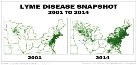 Lyme Disease The Great Masquerader Arkansas Nutrition And Natural