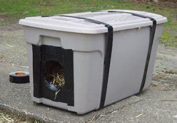 Come to her only if she needs help unless you are deliberately breeding cats, consider spaying your cat, for the sake of any future kittens (many unexpected kittens end up feral. Keeping Feral Cats Warm in the Winter - Austin County News ...