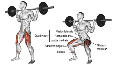 Best Leg Exercises And Workout For Muscle Strength