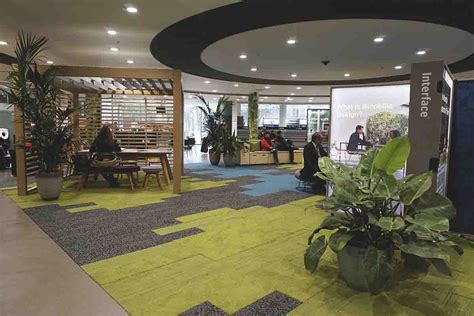 Biophilic Design How Nature Helps People And Business To Thrive