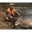 Whitetail Gun Hunts  Hunt Whitetal Deer Hunting