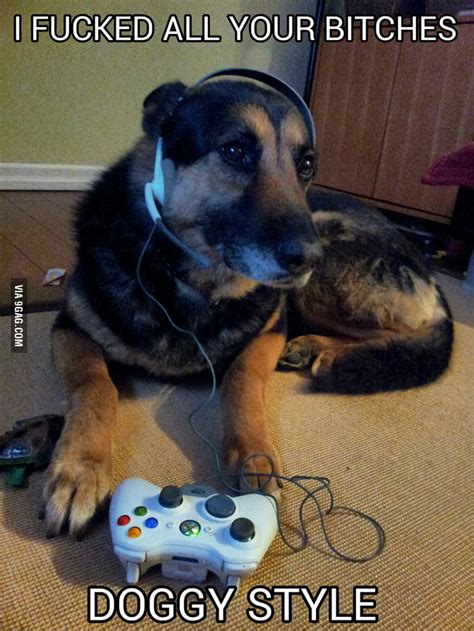 Gamer Dog 9gag