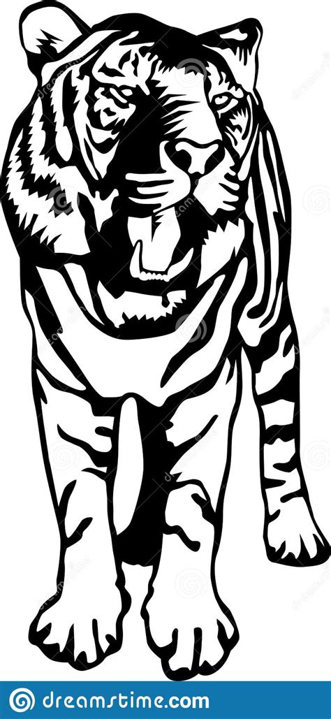 Tiger Vector Illustration Stock Vector Illustration Of Stripes 135935574