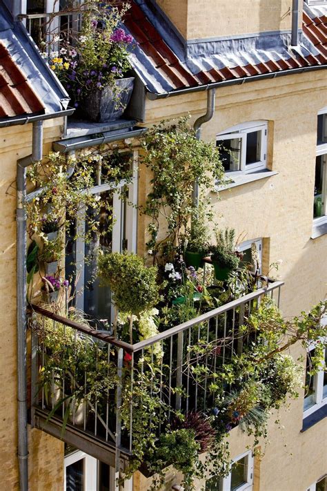 10 Small Balcony Garden Ideas For Your Apartment Vimlapatil