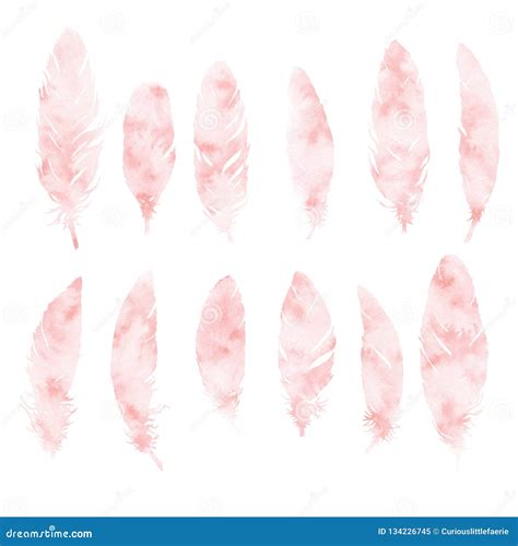 Hand Painted Pink Watercolor Feathers Set Isolated On White Background