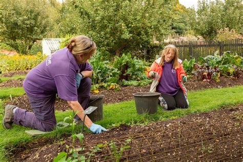 The Life Lessons Of Gardening Thrive