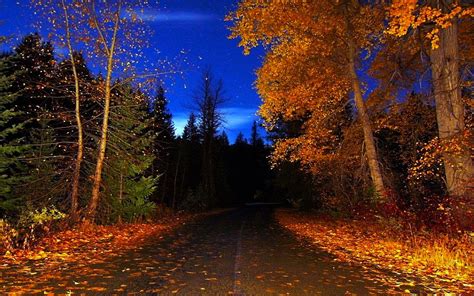 Dec 15, 2020 · pokemon white 2 cheats and cheat codes, nintendo ds. Autumn Night Wallpapers - Wallpaper Cave