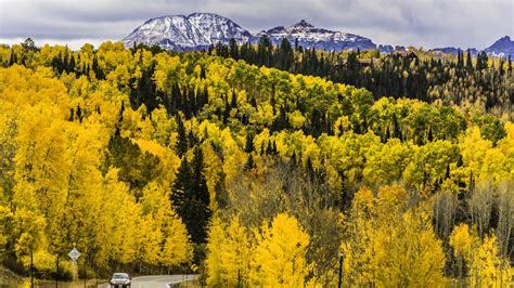 Wallpaper Autumn Forest Trees Mountains Road Colorado