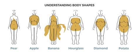 Their hips, thighs and bottom are fuller than the breast. Understanding Body Shapes: Women Viewed Straight On - The ...