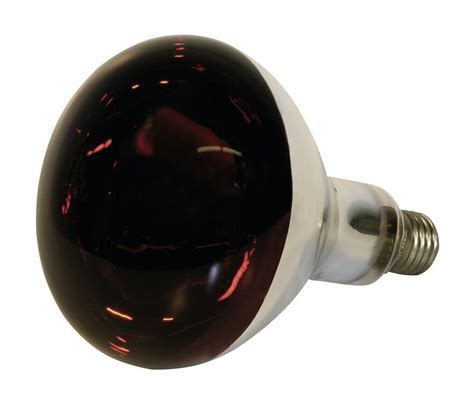 Ritchey Standard E27 Infrared Heat Bulb 150w From £505