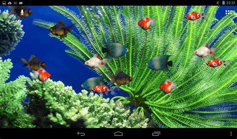 Live Aquarium Screensaver For Android Free Download