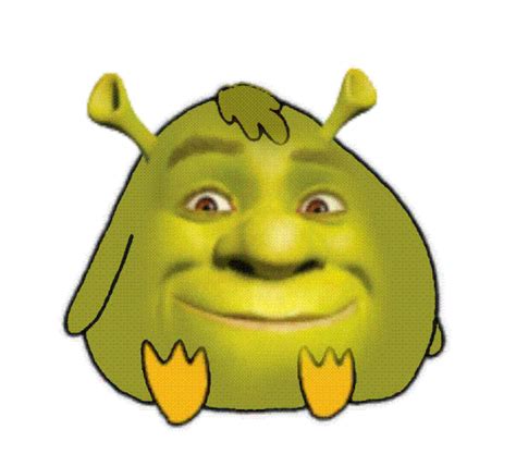 Shrek Meme Face  Transparent Aesthetic Imagesee