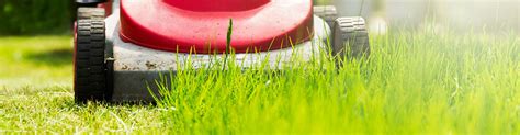 Enter your zip & find pros fast! About Us - Mighty Lawns