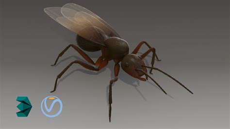 flying ant rigged 3d model animated rigged cgtrader