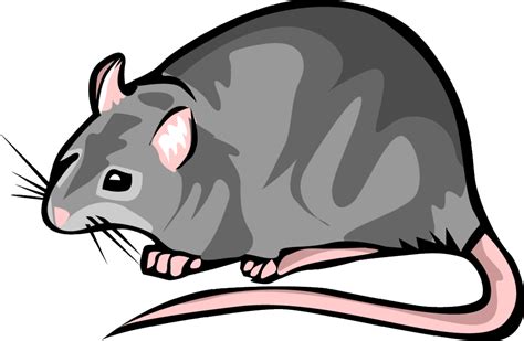 Clip Art Rats Clipart Free To Use Clip Art Resource Clipart Best