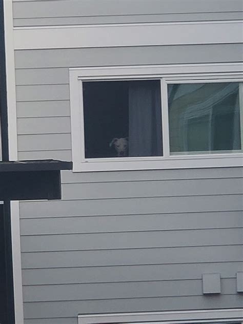Caught My Neighbor Spying On Me Rpics