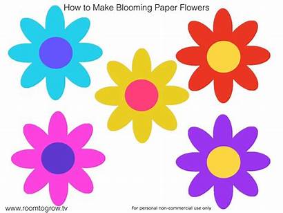 Blooming Paper Flowers Flower Template Cut