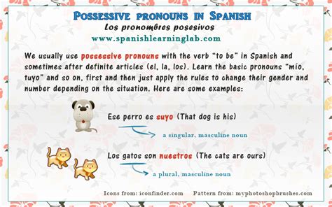 Spanish Possessive Pronouns Chart And Sentences Spanishlearninglab