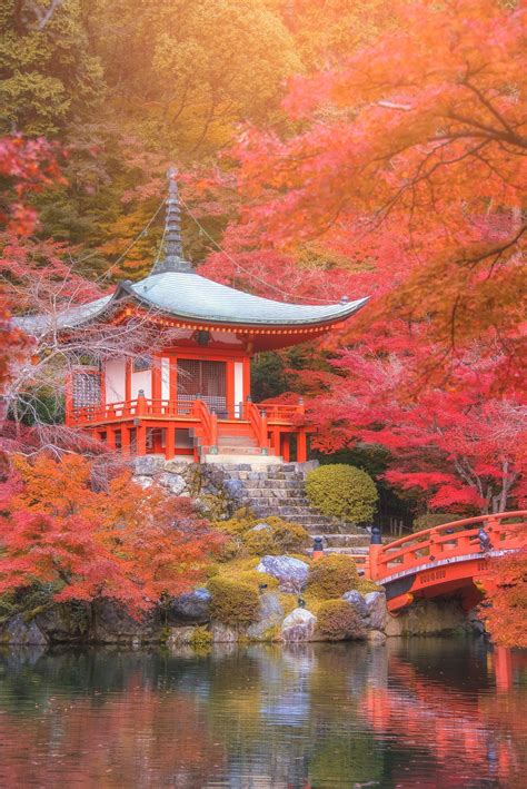 The Most Beautiful Places To Visit For Fall Foliage Japan Landscape