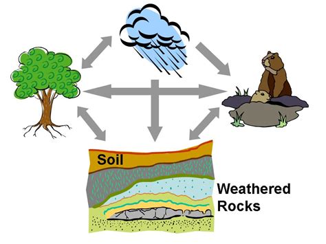 The deepest horizon contains only partly weathered rock. About - Soil Center