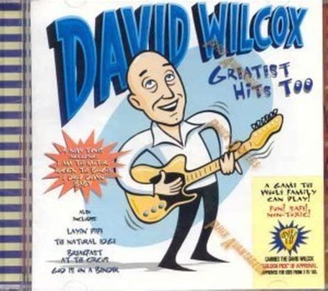 greatest hits too david wilcox amazon ca music