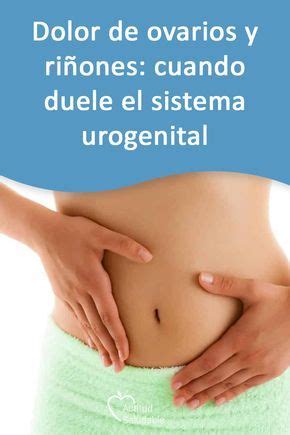 Dolor De Ovarios Y Ri Ones Cuando Duele El Sistema Urogenital En Dolor De Ovarios Dolor