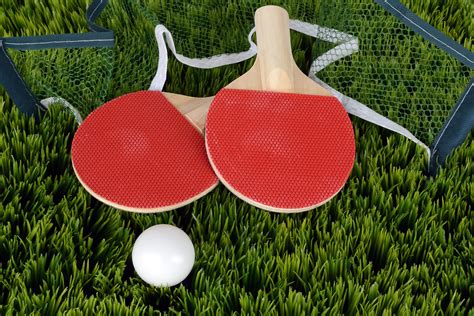 Free Images Grass Wood White Sport Lawn Meadow Play Flower Green Paddle Red Sports
