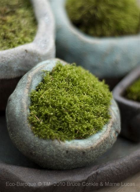 Eco Baroque Moss Pots And Ceramics Moss Pot Moss Garden