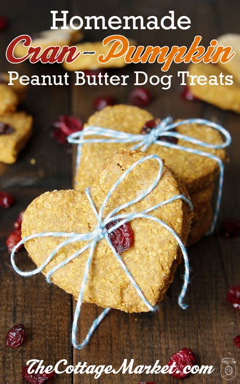 Cran Pumpkin Peanut Butter Oatmeal Homemade Dog Treats