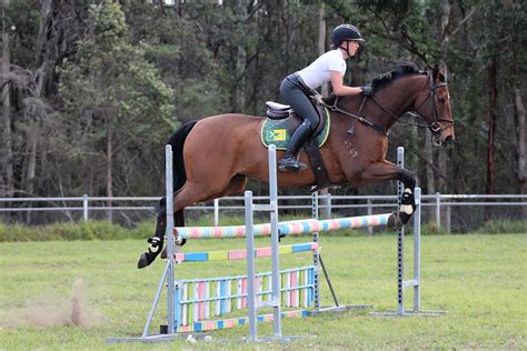 The top 25 individual scores after the first show jumping round performed a second, final, show jumping round to determine individual medals, with up to 3 riders in the individual running per team. Jumping for Youth Olympic Games Selection | Equestrian ...
