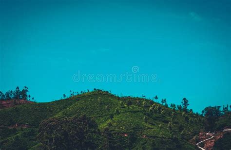 Mountain Peak Surrounded By Forest Picture Image 92710477