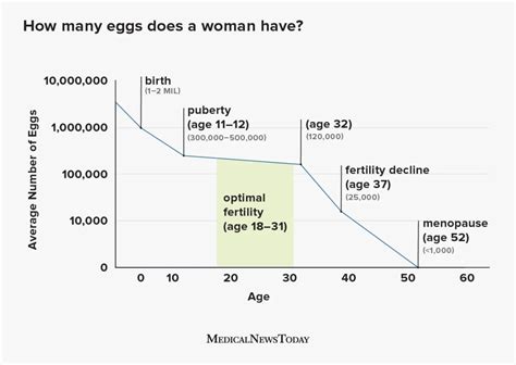 how many eggs does a woman have at birth 30s and menopause