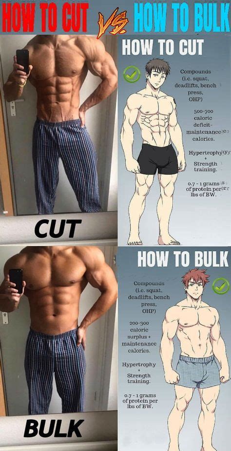 10 Rules For Building Muscles On Bulking Phase