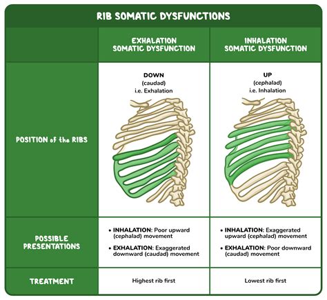 Diagnosing Rib Somatic Dysfunction Osmosis