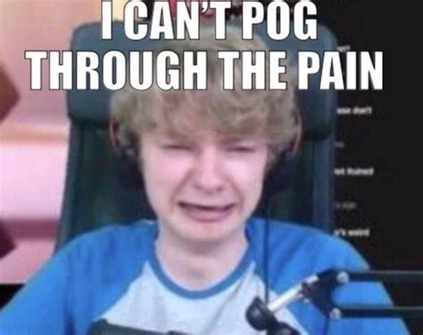 Minecraft parrots wholesome dance meme 10 hours подробнее. @𝖘𝖈𝖍𝖊𝖒1𝖓𝖌 in 2020 | Stupid memes, Really funny, Memes