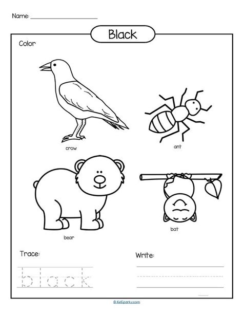 Color Black Printable Color Trace And Write Kindergarten